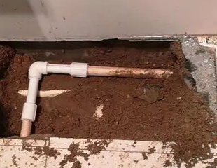 安国测漏水哪家好