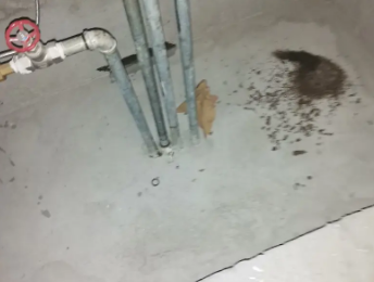 安国卫生间测漏水价格明细